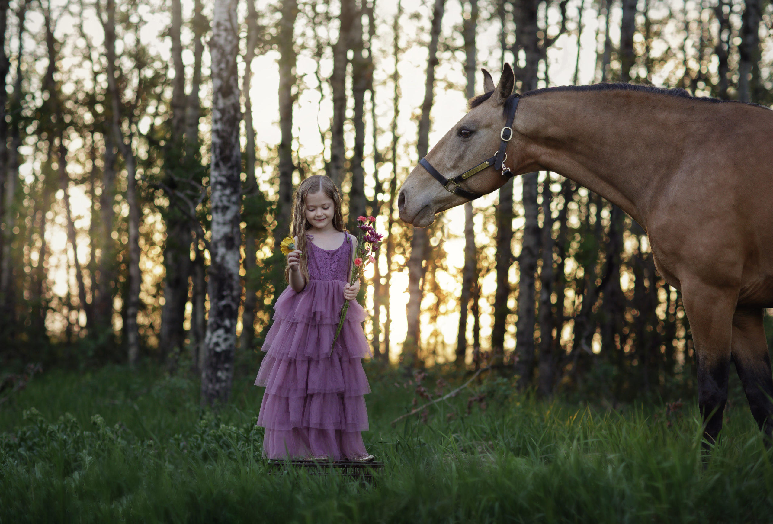 horse and kid photoshoot
